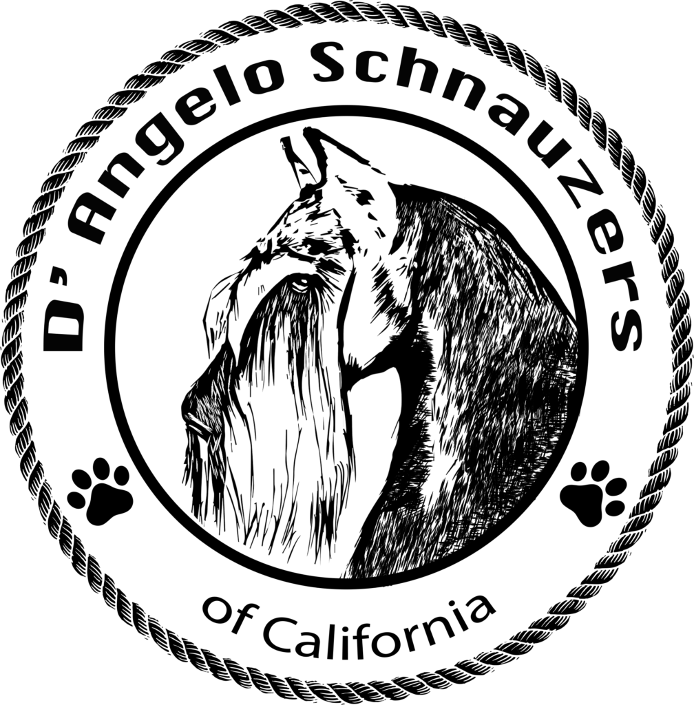 dangelo logo lastv black